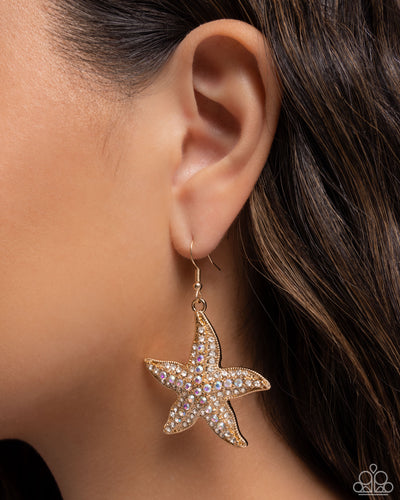 Starfish Spectacle - Paparazzi